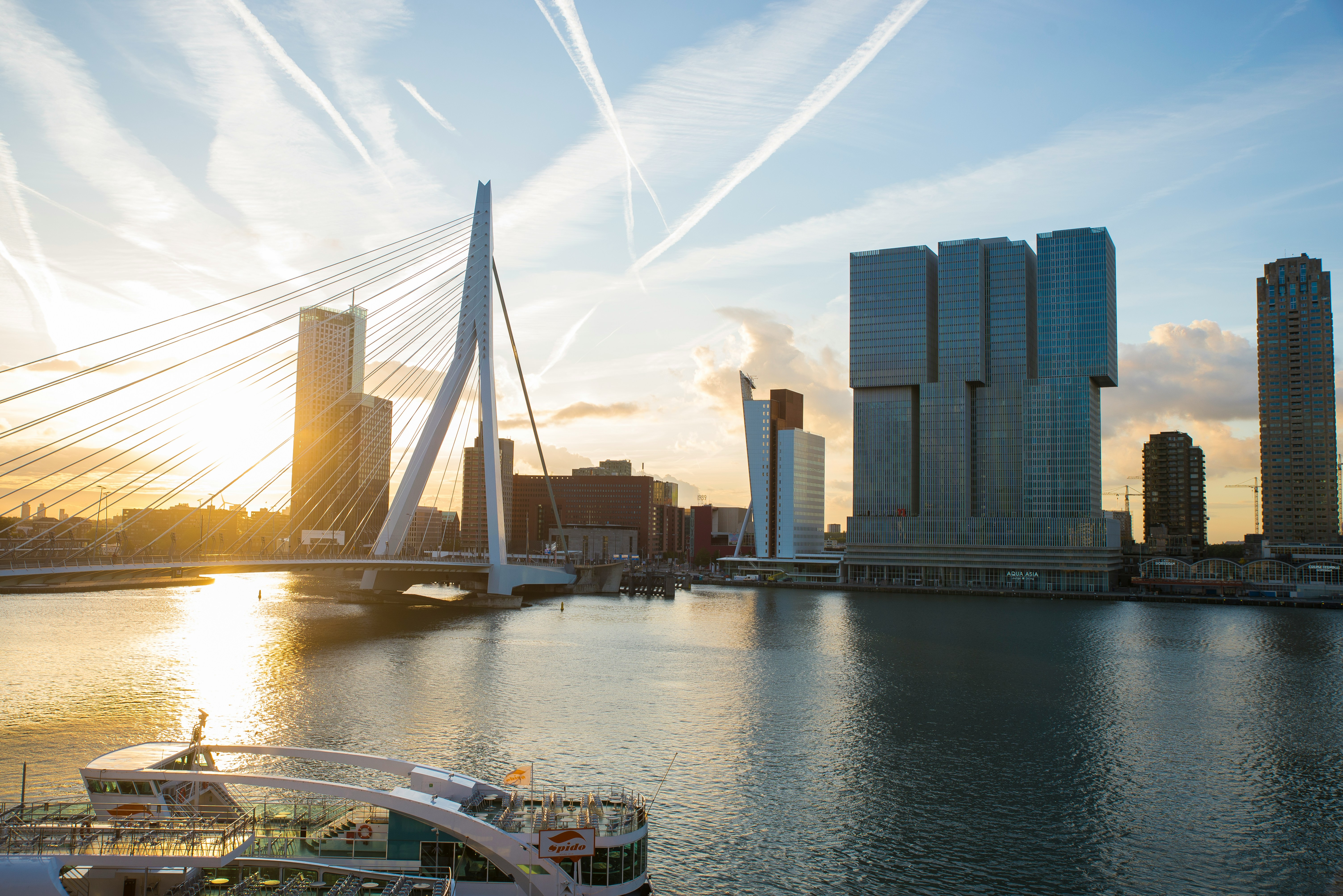 Erasmus Bridge, Rotterdam
