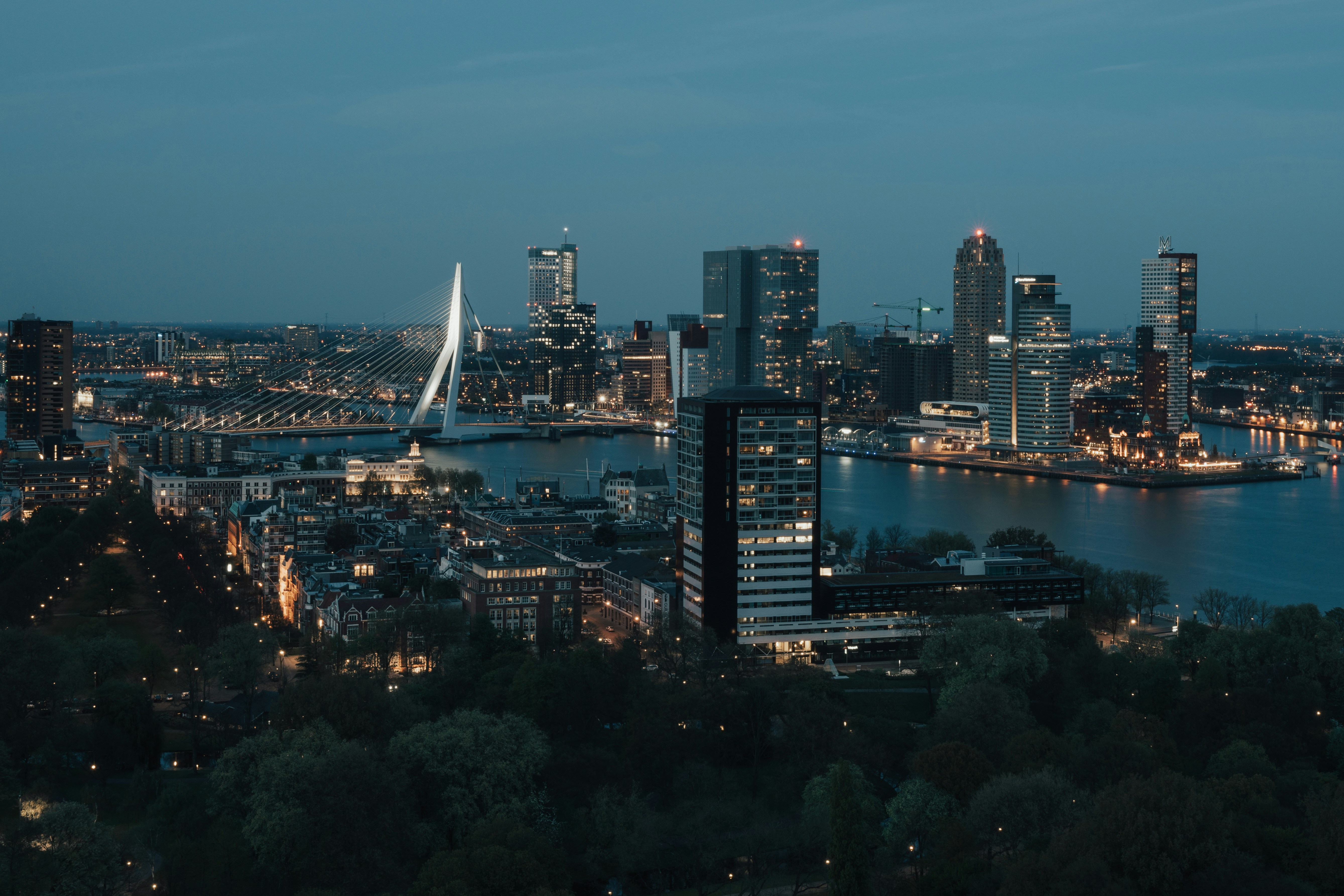 Skyline at night, Rotterdam