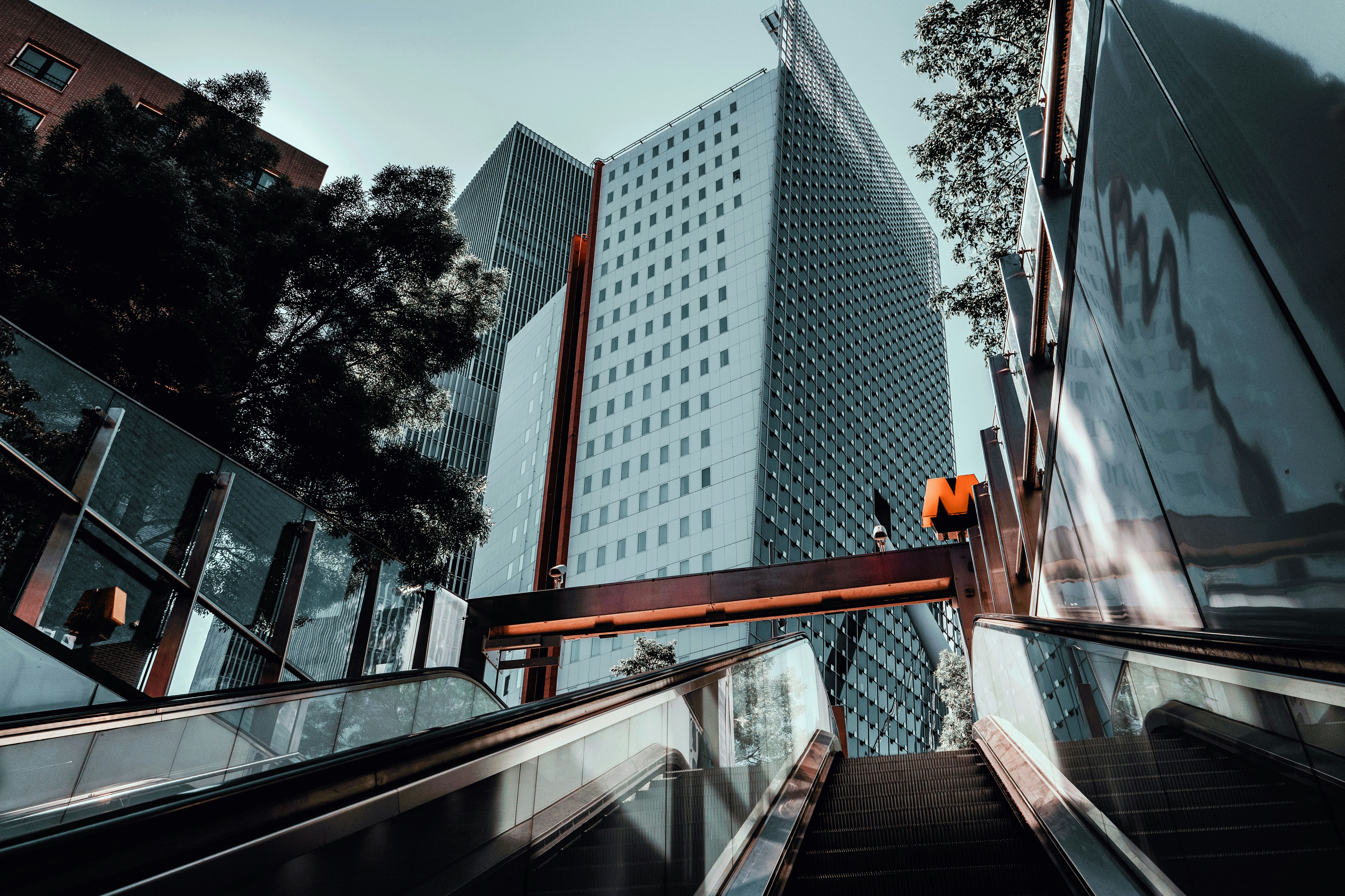 Urban vibes, Rotterdam